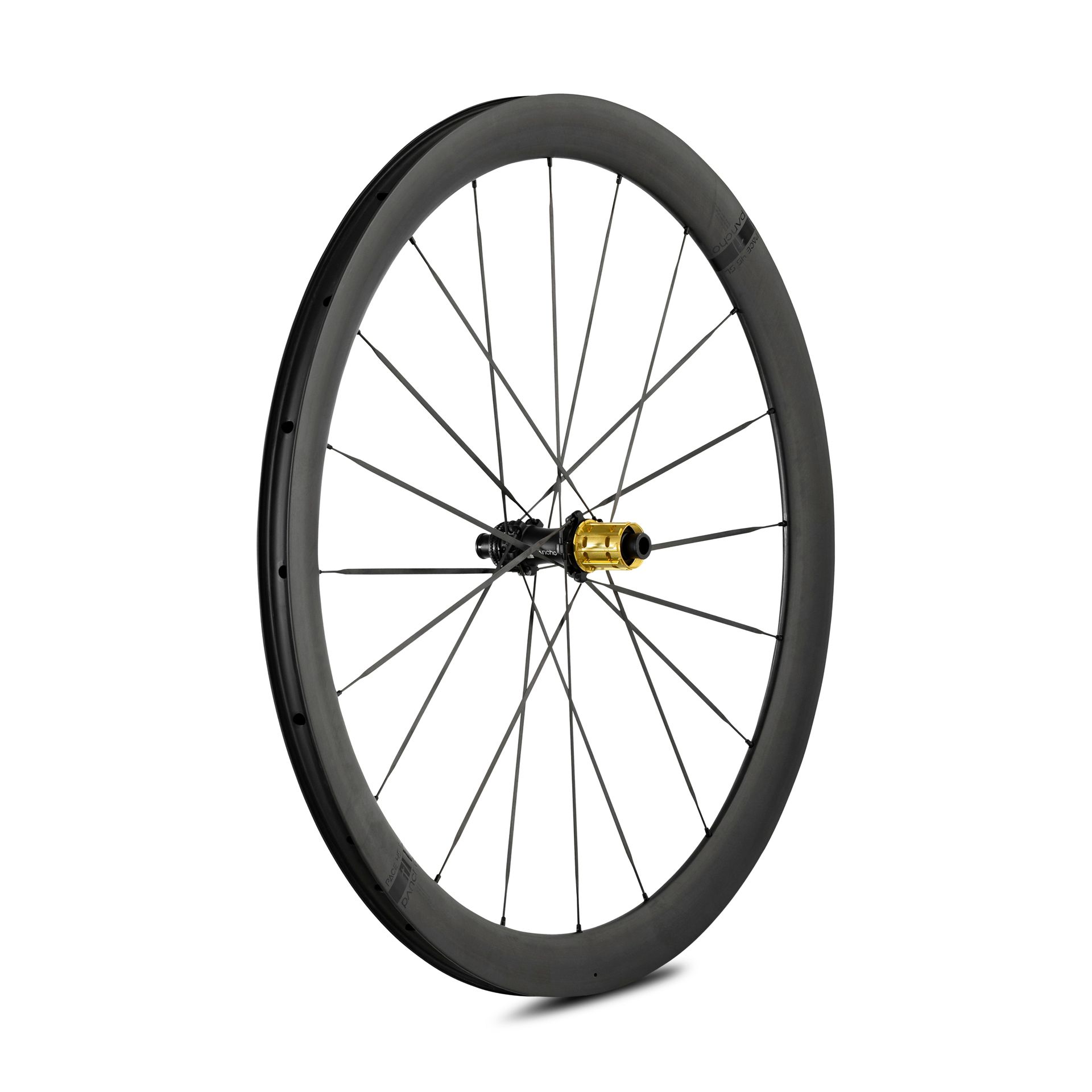 Panchowheels-Panchowheels Hinterrad PACE 45 SL / Pancho Pride Centerlock, 142/12mm, _PW421-HRCL14212_