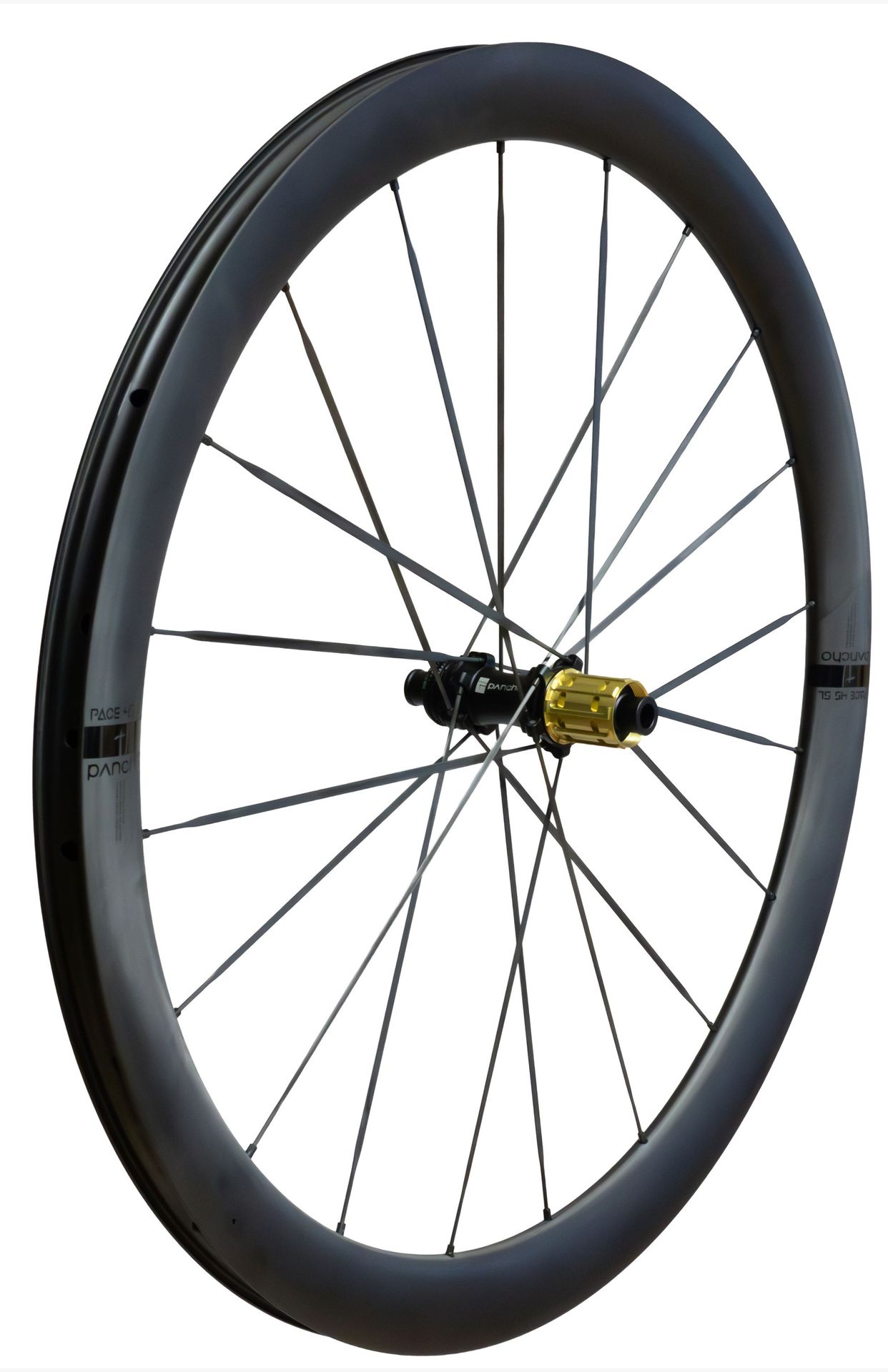 Panchowheels Hinterrad PACE 45 SL / Pancho Pride Centerlock, 142/12mm,  - Shimano 11-fach Road (Carbon Speichen)