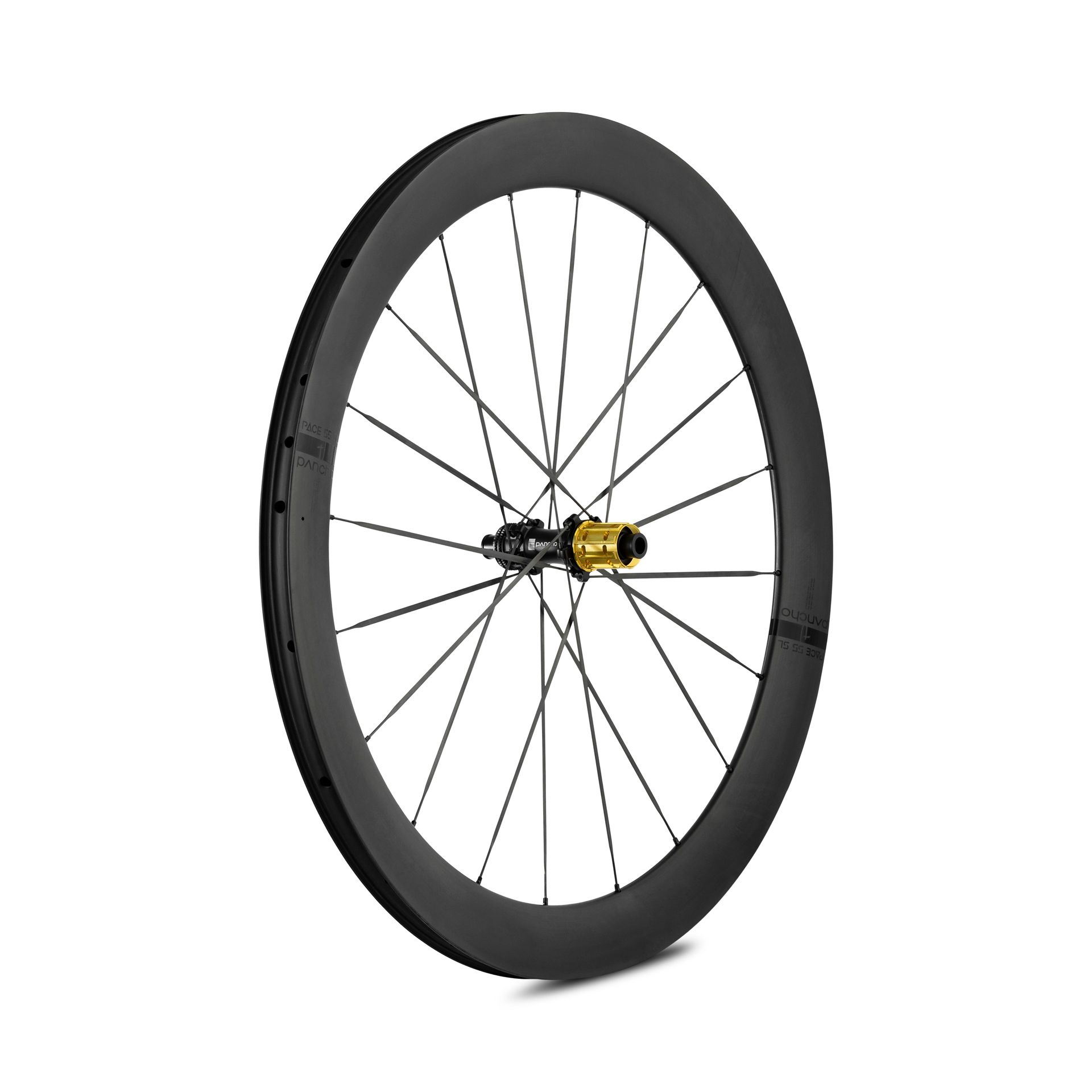 Panchowheels-Panchowheels Hinterrad PACE 55 SL / Pancho Pride Centerlock, 142/12mm, _PW422-HRCLXDR14212_