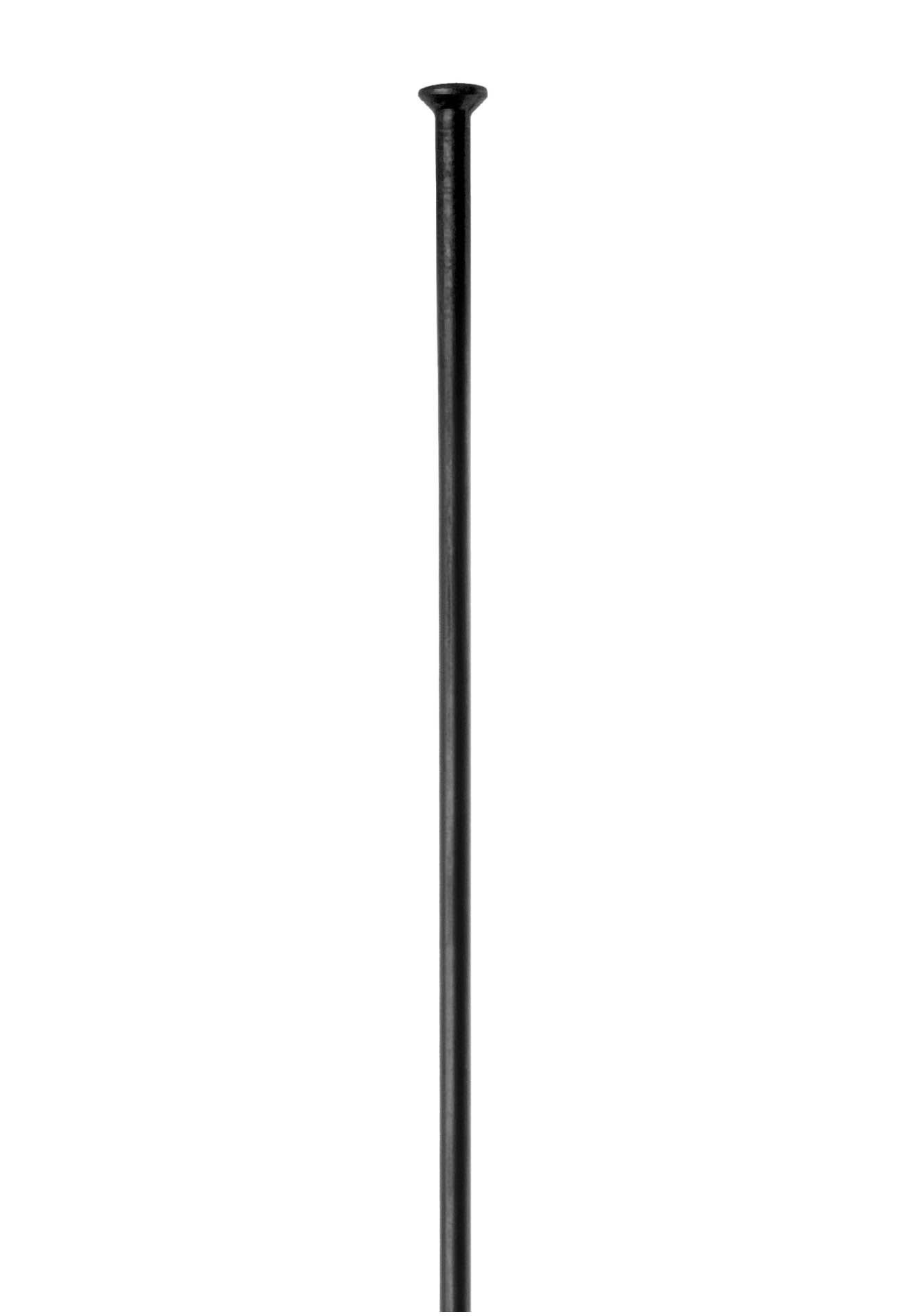 DT Swiss-DT Swiss Speiche, Champion, straight pull, schwarz, 1 Stk., 302mm_Champion-SPs-302_