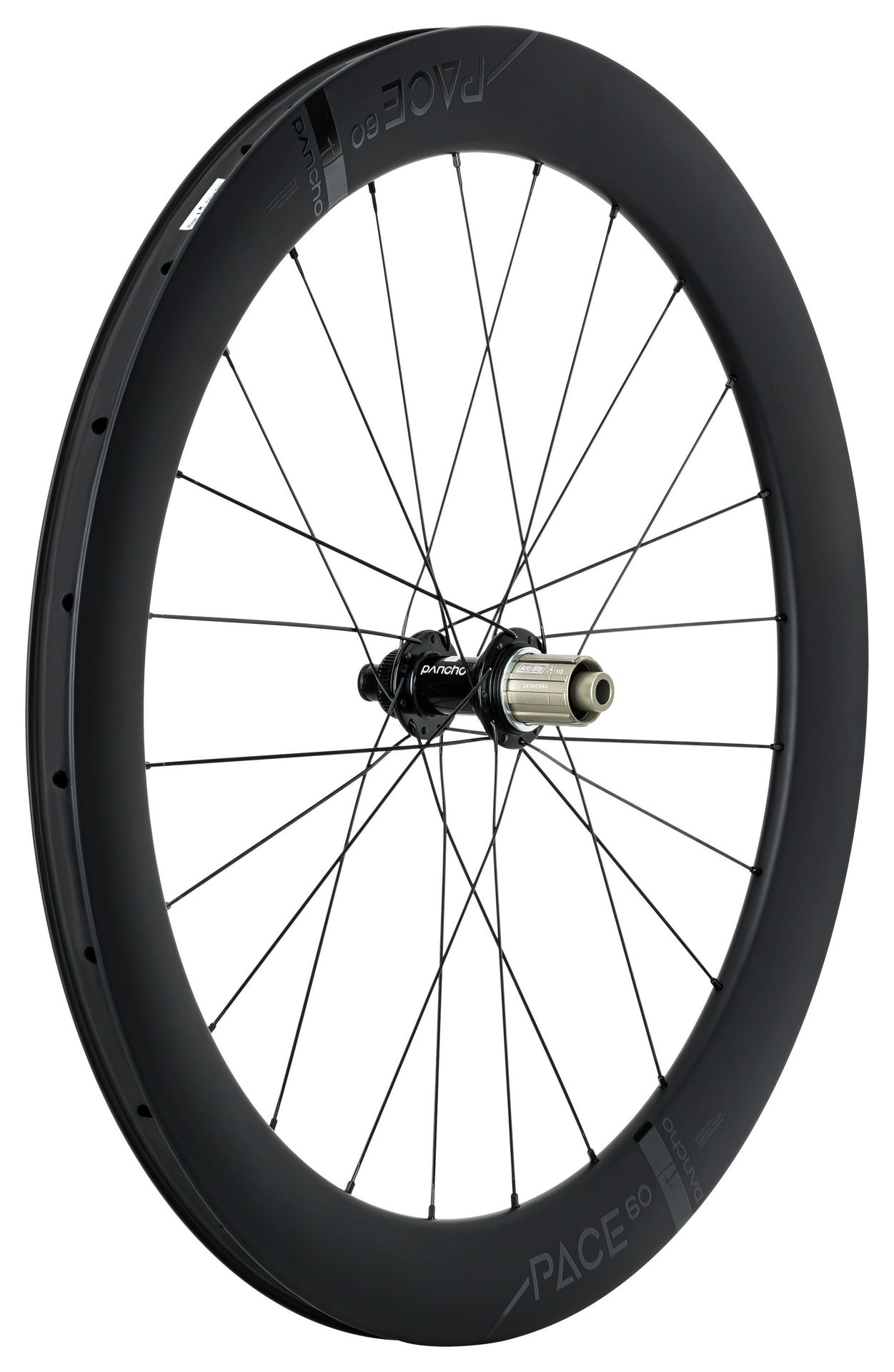 Panchowheels-Panchowheels Hinterrad Pace 60 Disc Clincher / DT Swiss 350 Straightpull, _PW388-HRCL14212_