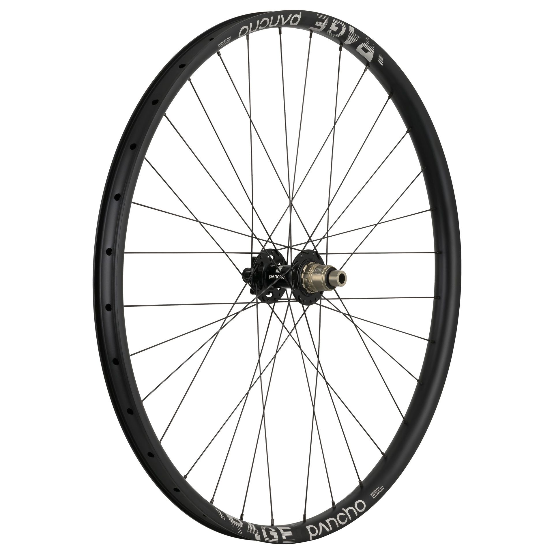 Panchowheels-Panchowheels Hinterrad Rage 27.5" / DT Swiss 350, 6 Loch, 157/12mm Boost+, _PW138-HR6L15712_