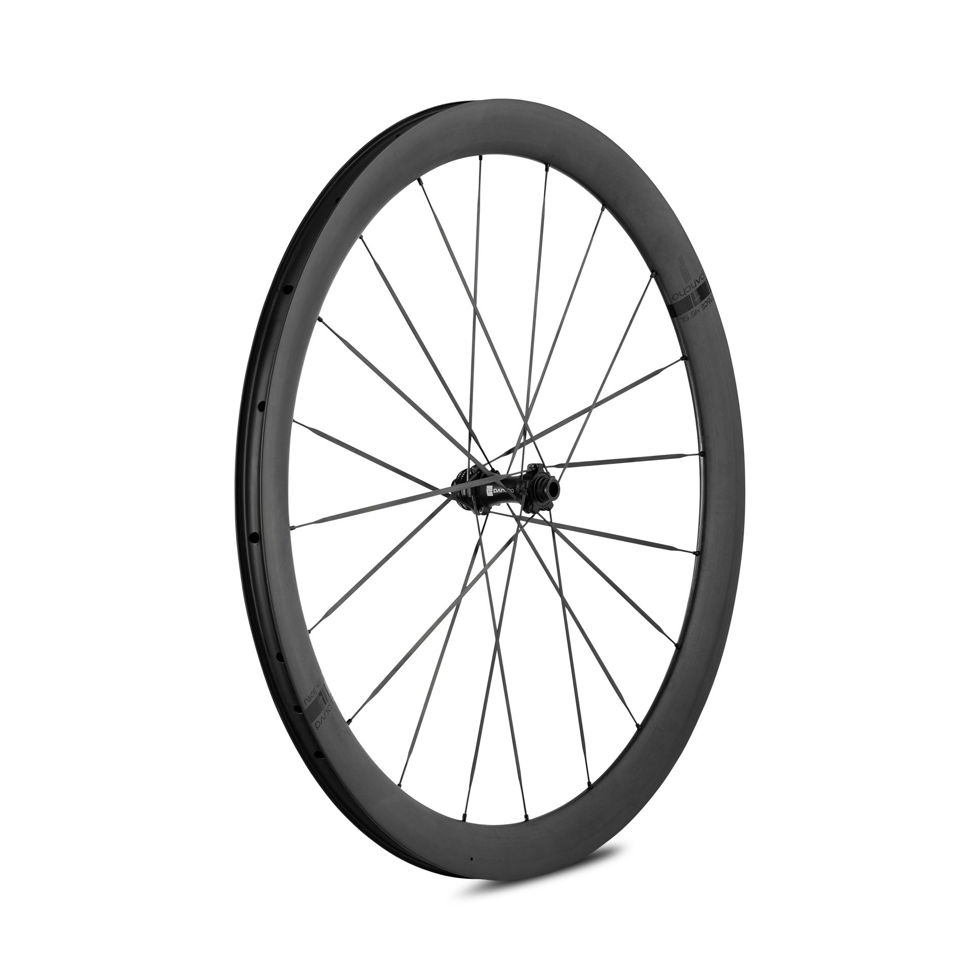 Panchowheels-Panchowheels Vorderrad PACE 45 SL / Pancho Pride Centerlock, 100/12mm _PW421-VRCL12_